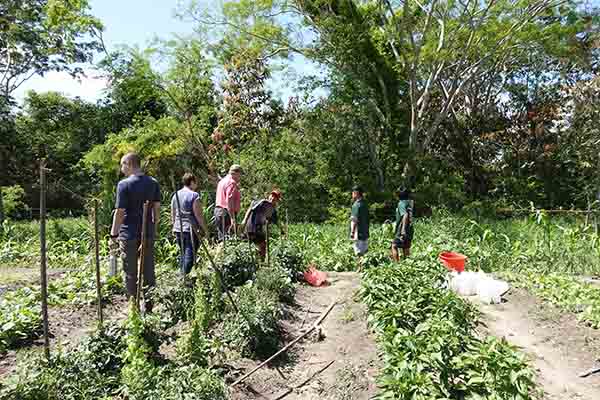Crops, Cows, and the Children’s Garden: The Agriculture Program of NPH Bolivia