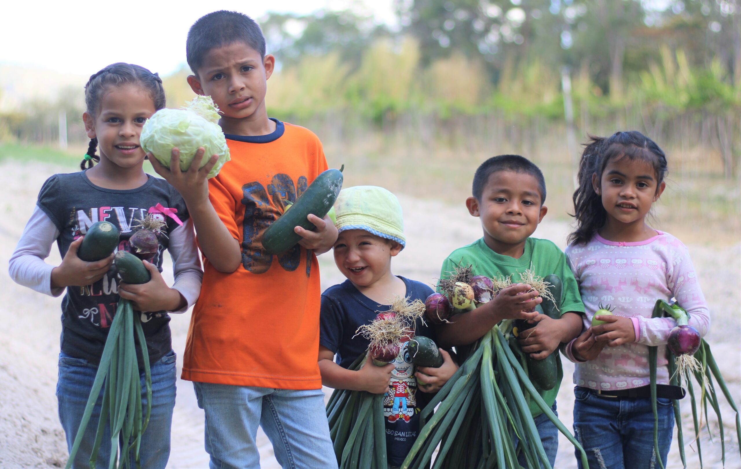 Kids in a farm in Honduras